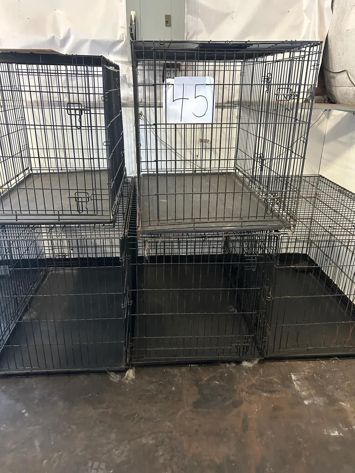 5-collapsible-dog-kennelscrates-mnjicd4m