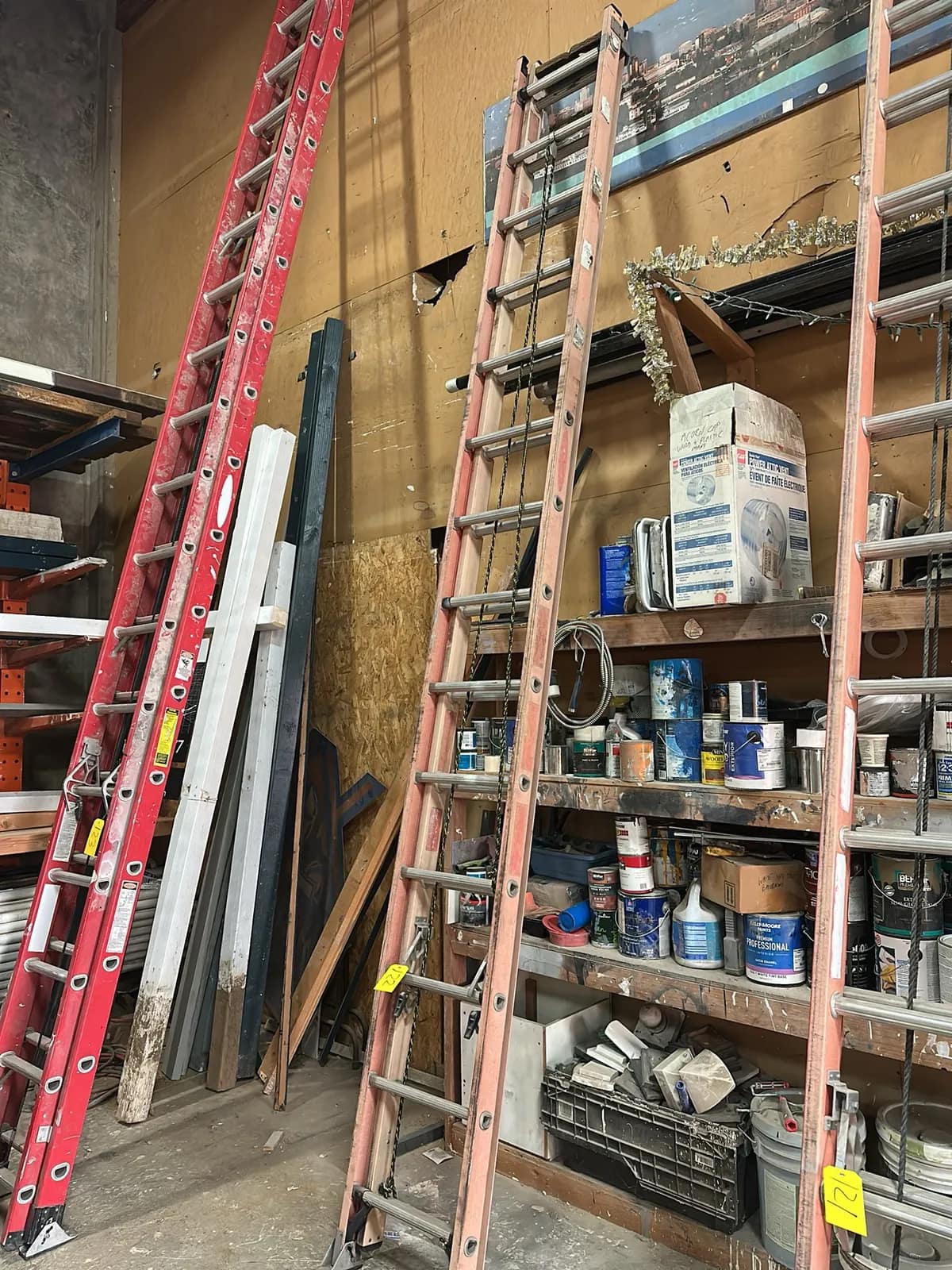 25-extension-ladder-d19718