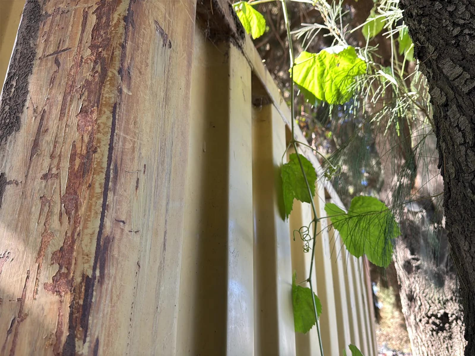 40’ Shipping Container, photo 5 of 13