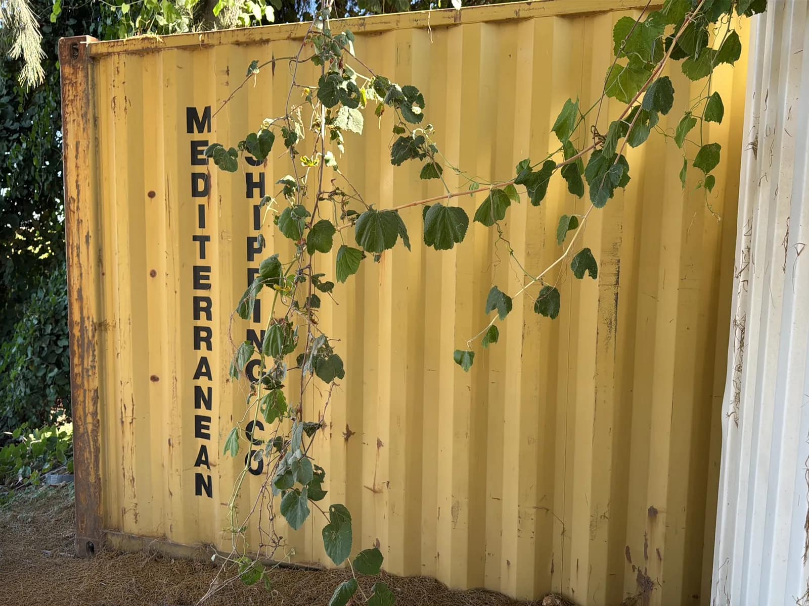 40’ Shipping Container, photo 2 of 13
