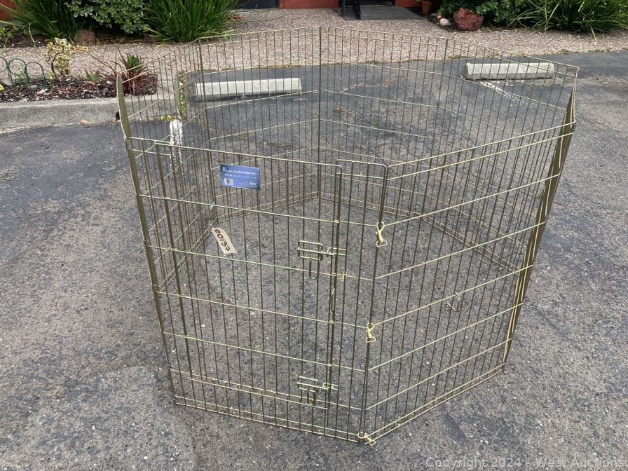 midwest-dog-play-pen-gold-zinc-36-560186