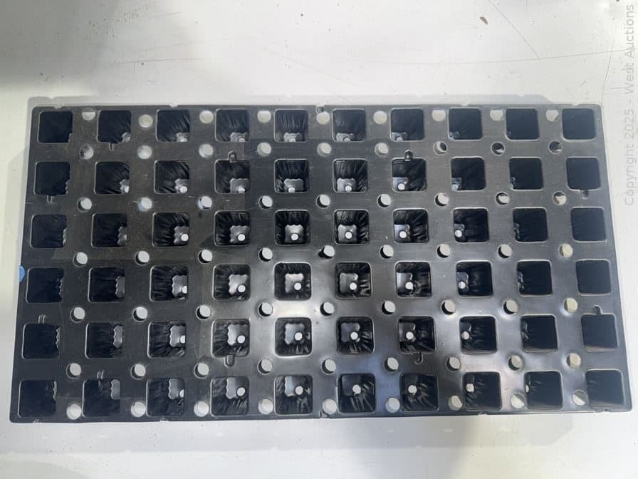 3-000-plastic-plug-tray-square-60-cell-624592