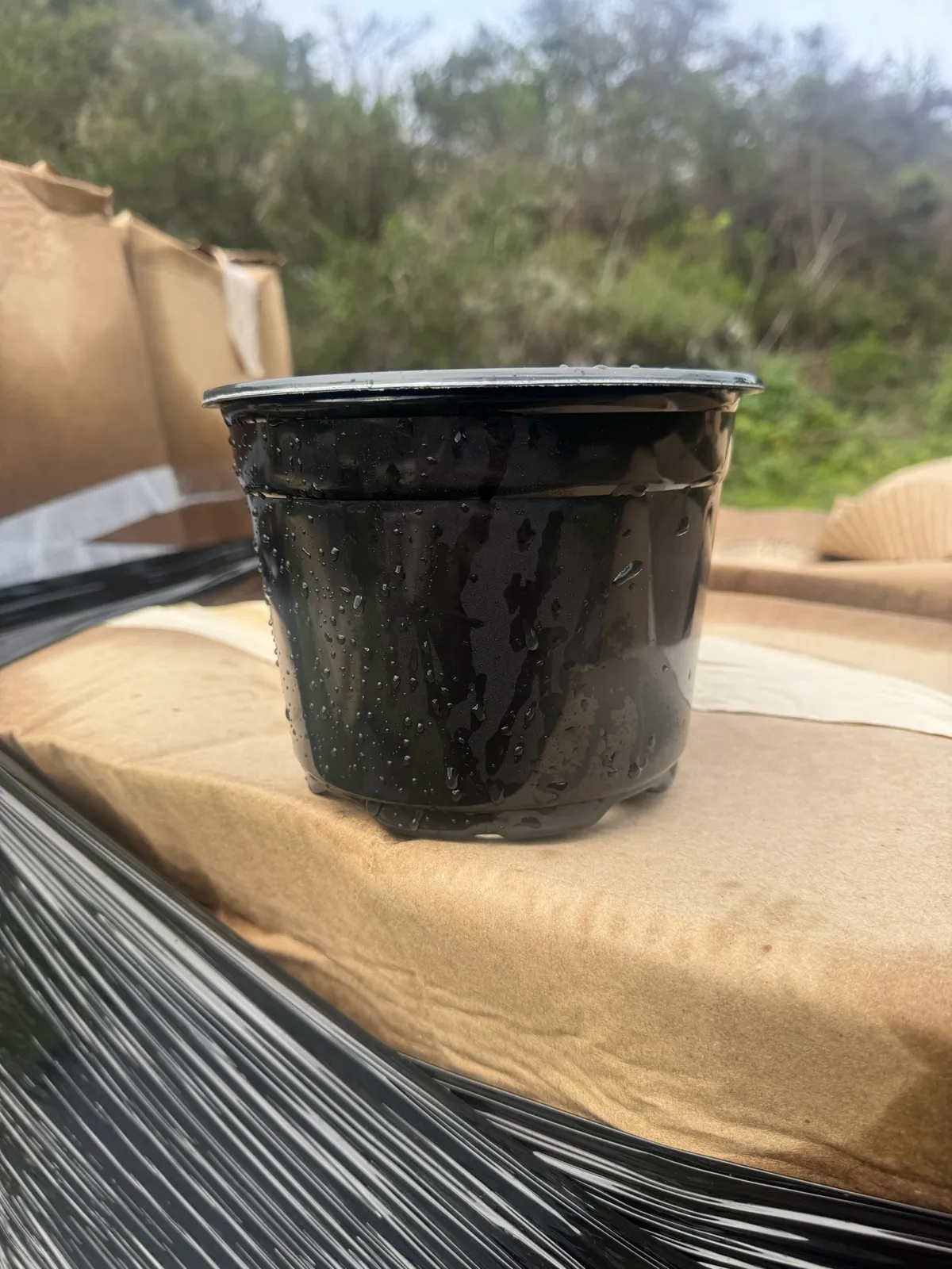 2100-17cm-black-euro-pot-short-mlvmlgs1