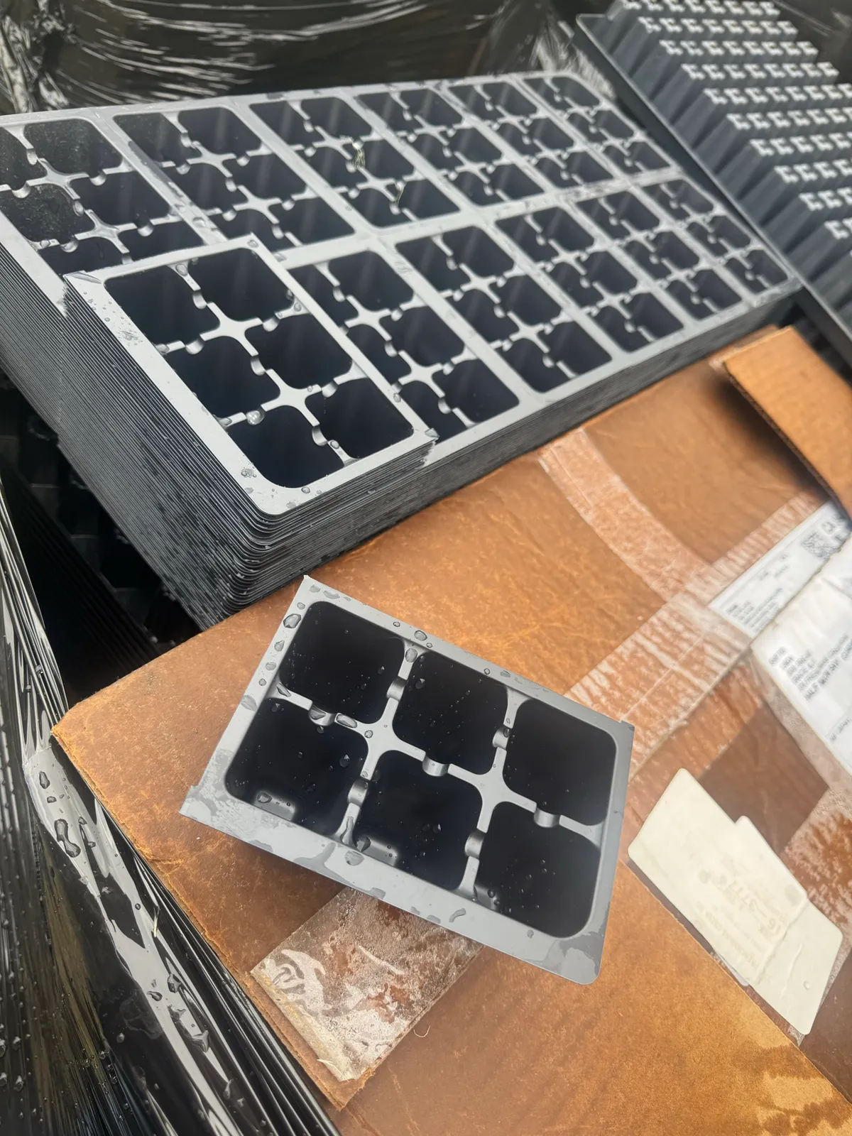 1500-mixed-small-trays-mlvmlv0t