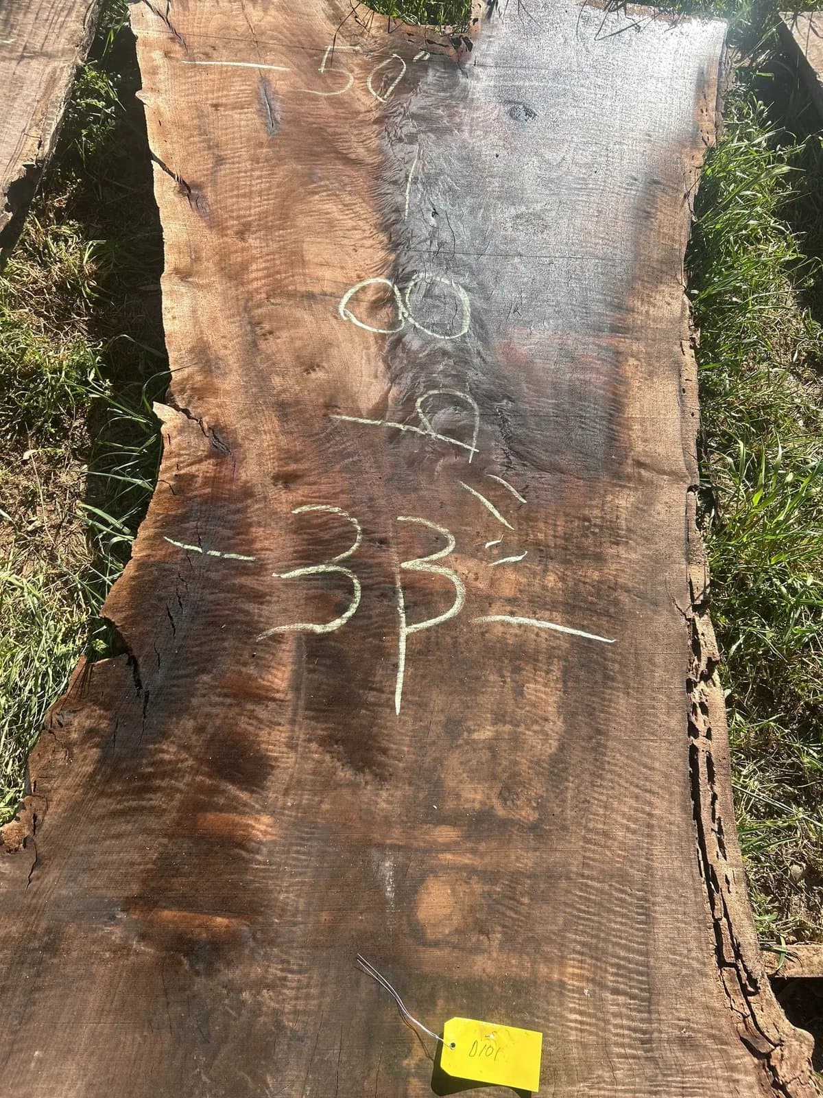 black-walnut-slab-mn9i1wjo