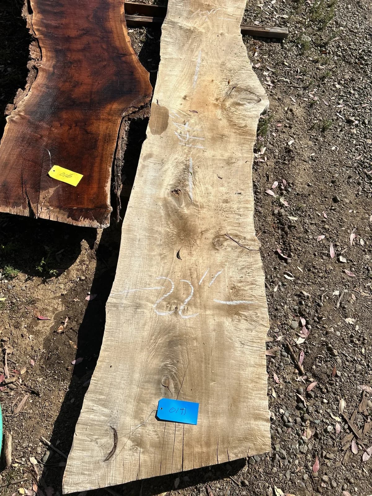 maple-slab-04b773