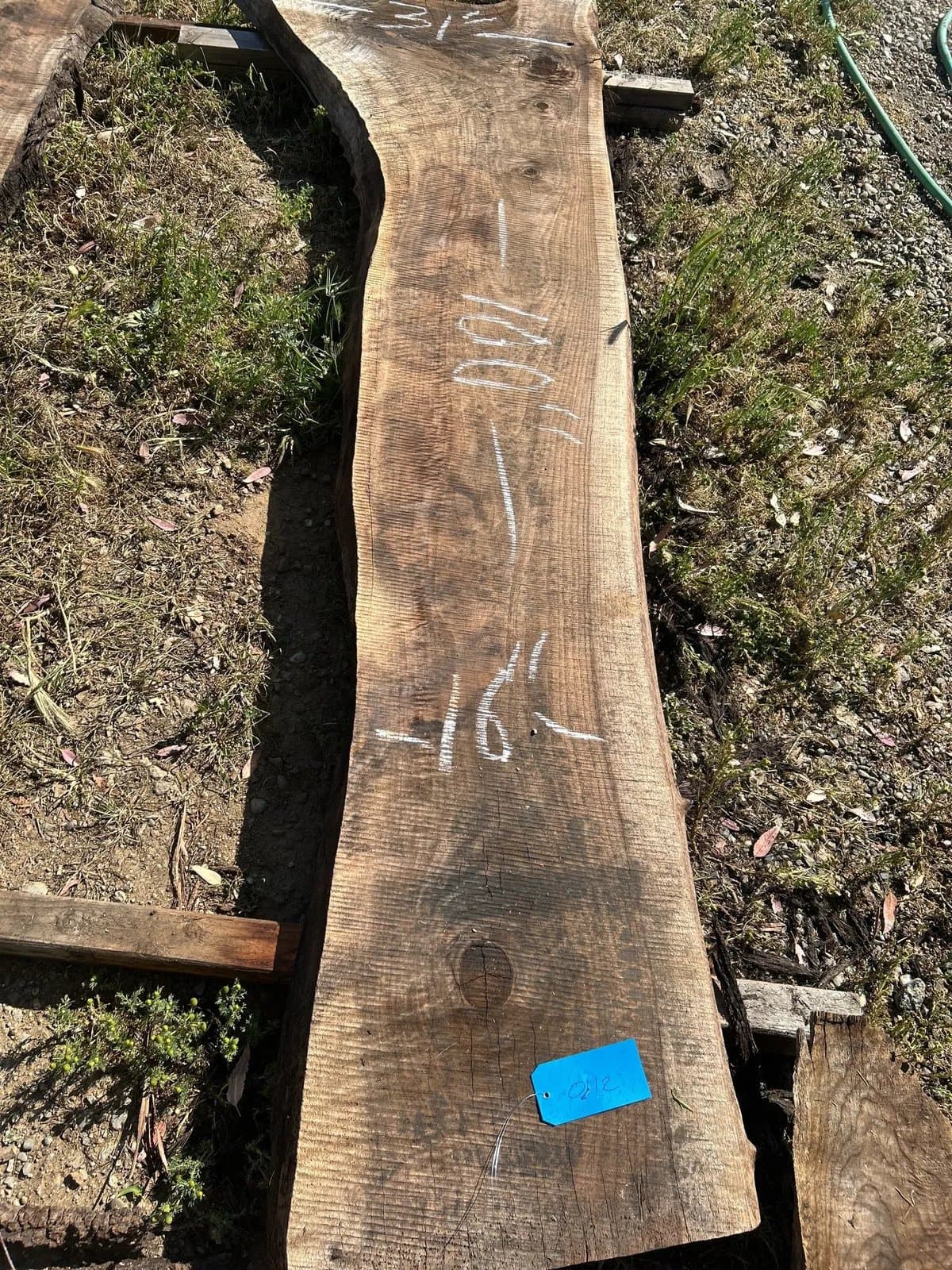 black-walnut-slab-7ce743