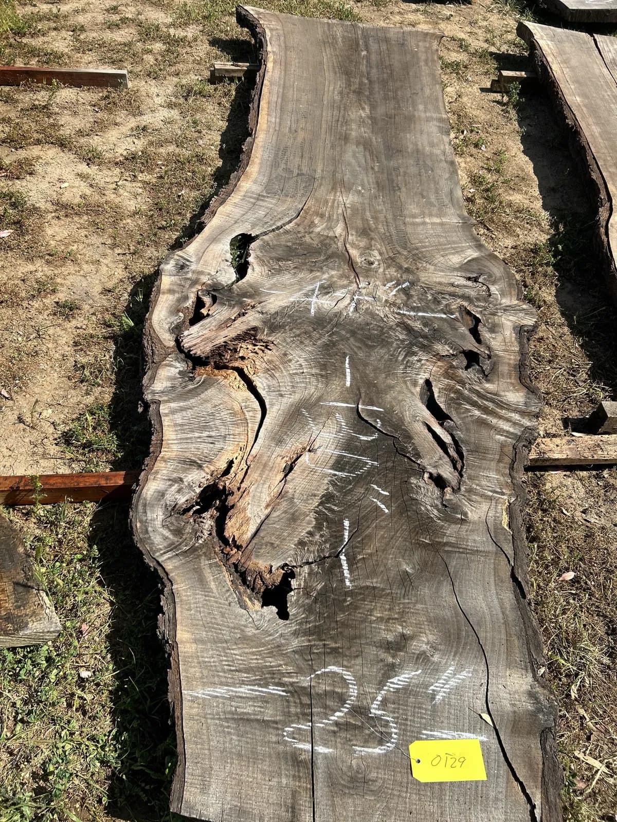 black-walnut-slab-7687c6