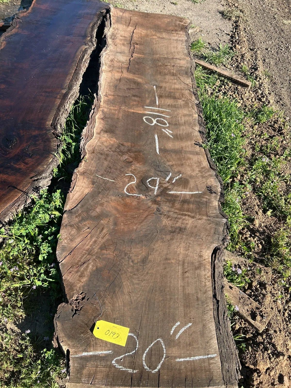 black-walnut-slab-5e7096