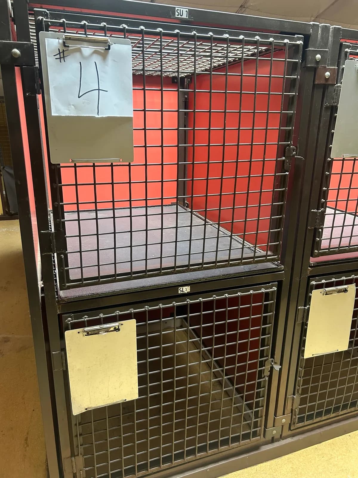 16-dog-kennels-2-tiers-mnjj8eqn