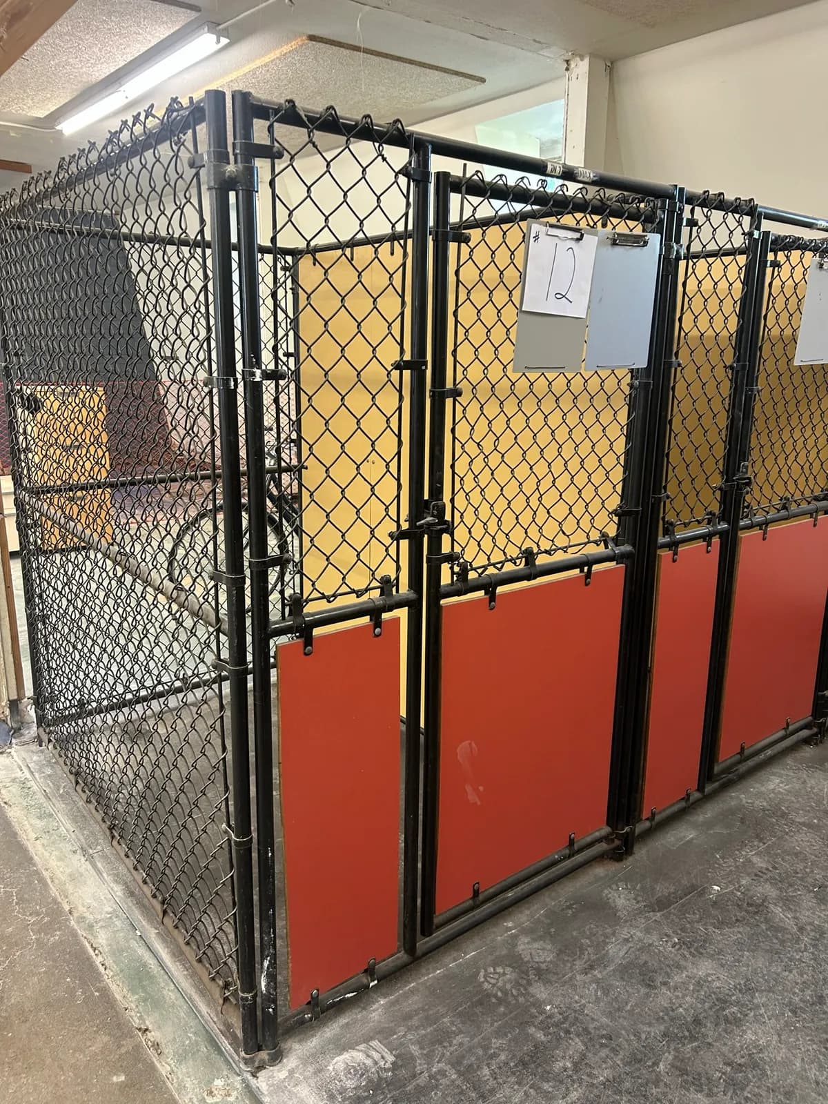 3-dog-kennels-mnjj4tr7