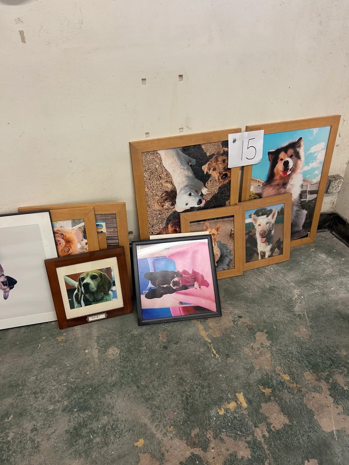assorted-framed-dog-pictures-mnjj39f0