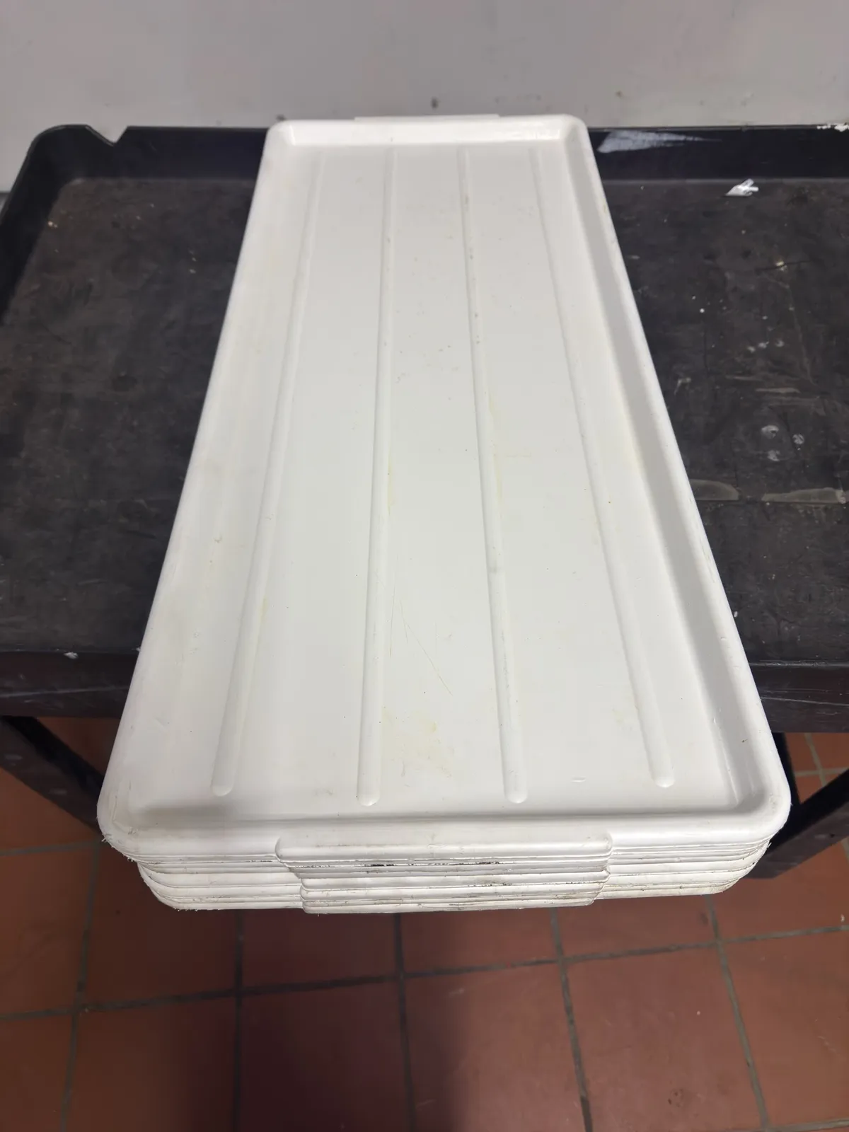 8-sani-platers-mngb3os9