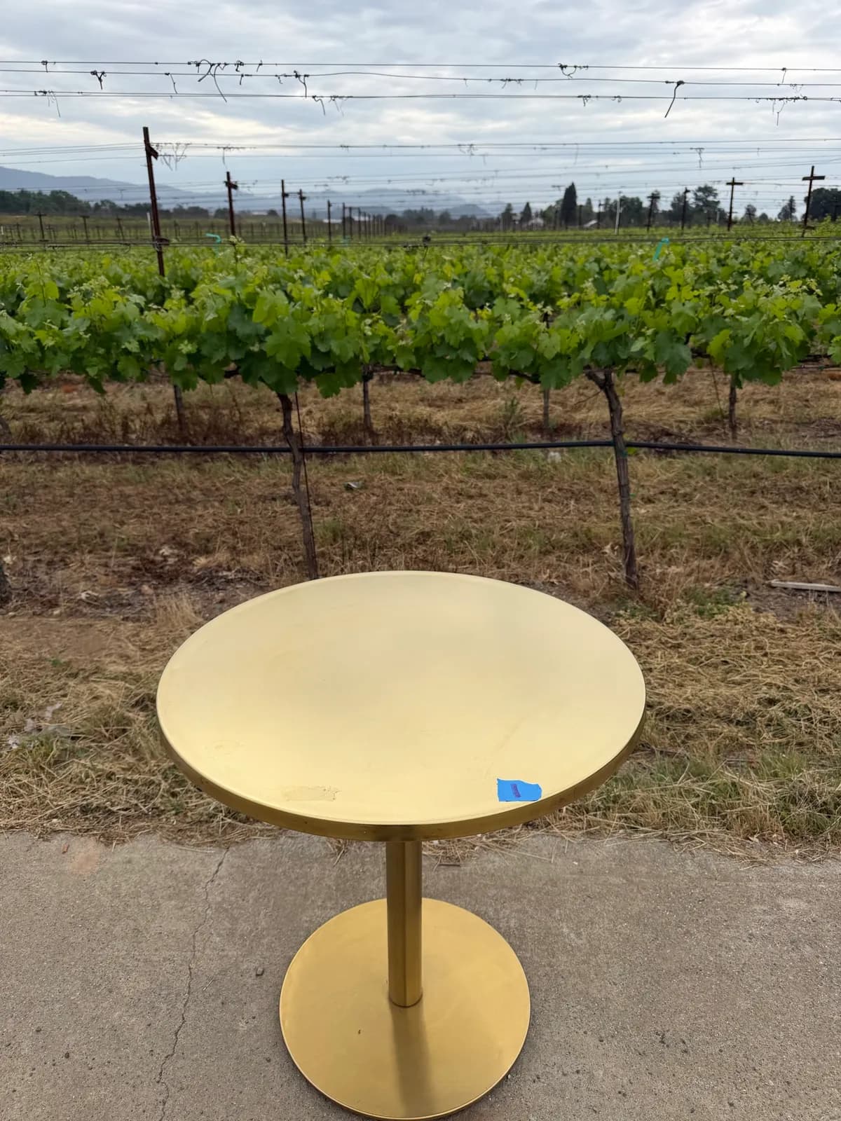 crate-and-barrel-gold-metal-round-table-with-pedestal-base-9d8570