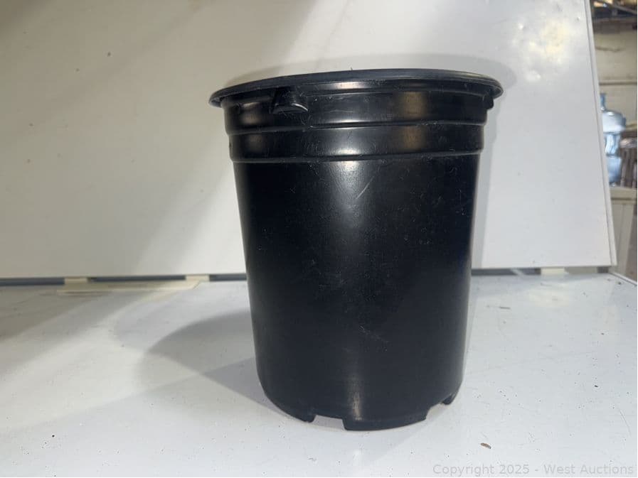 7-584-pro-cal-5-nursery-pot-624603